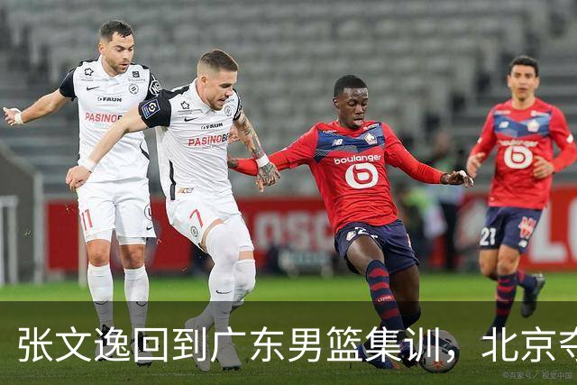 张文逸回到广东男篮集训，北京夺冠功勋确定退役，上海欲续约弗格